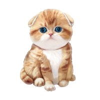 рыжий кот